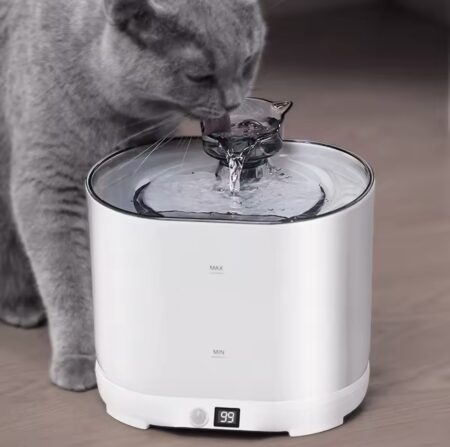 fontaine à eau sans fil chats et chiens  special prix  الهوتة