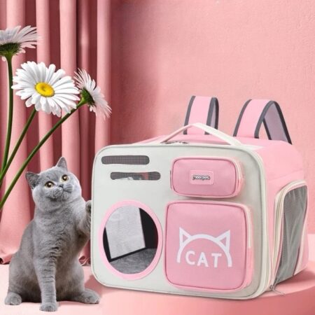 Sac à dos de transport Portable pour animaux de compagnie