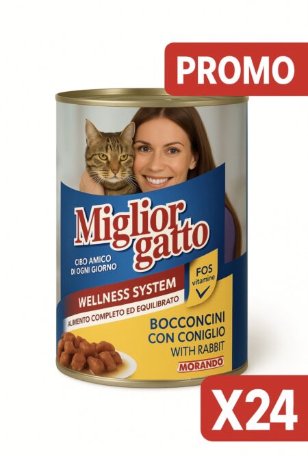 Miglior gatto  X24 special promo
RABIT