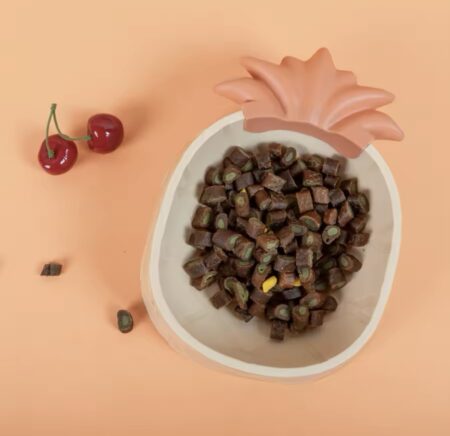 Bols à ananas pour animaux domestiques, 1 pièce, en PP