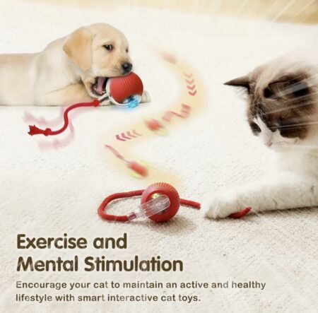 1 Balle Jouet pour Chat, Ballon de Jeu Chien – Accessoire Apaisant Intelligent à Roulement Automatique USB Rechargeable avec Cordeleuse et Croustillants