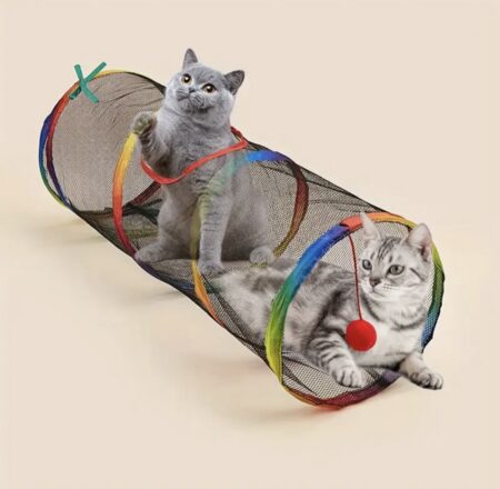 Tunnel Respirant Arc-en-ciel Pliable pour Chat d'Été en Plein Air, Passerelle de Divertissement et Autodivertissement contre l'Ennui